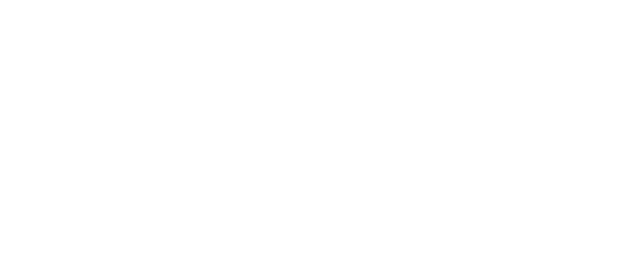 logo de Lera en blanco